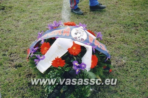 KONYEC44.jpg